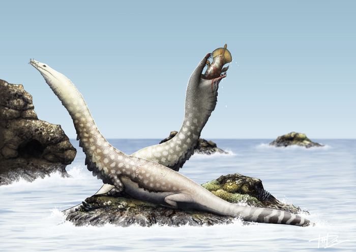 Несмотря на свою грозность, имя нотозавра переводится как «ящер-тюлень».