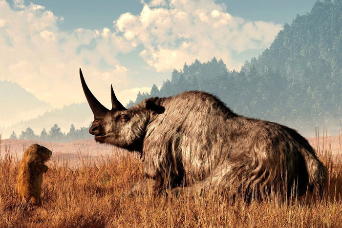 — Смотри, я человек, ха-ха! — Вообще не смешно...