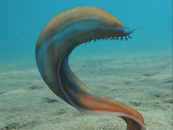 Та самая бабуля, которая давно тебя не видела и хочет поскорее тебя обнять.