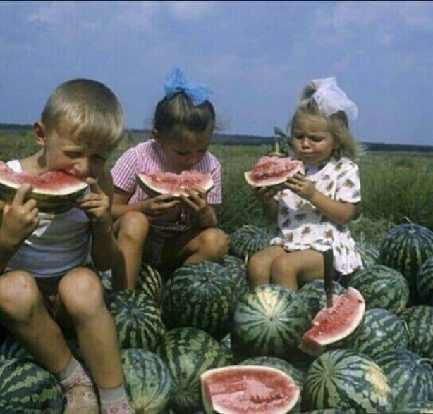 Поедание арбузов