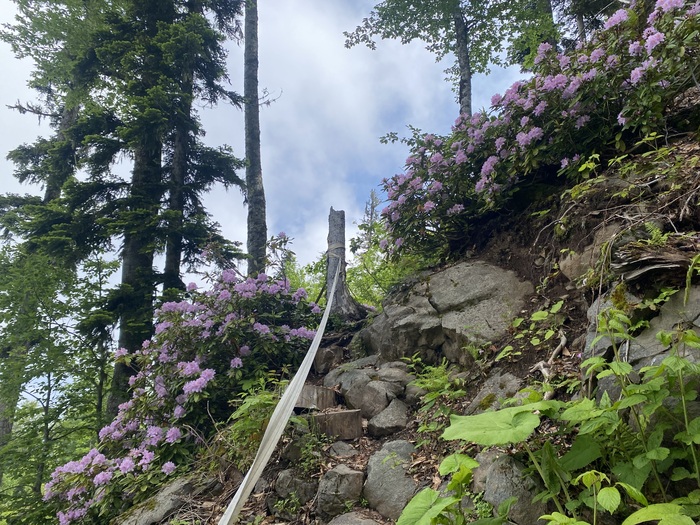 �����-�����!