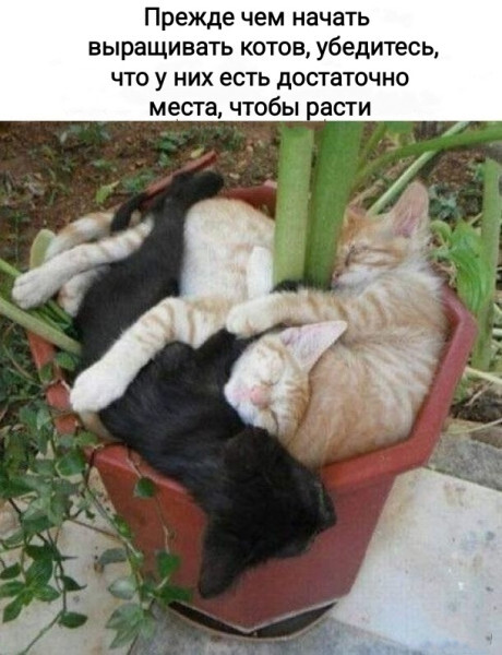  ... ,   , , , 