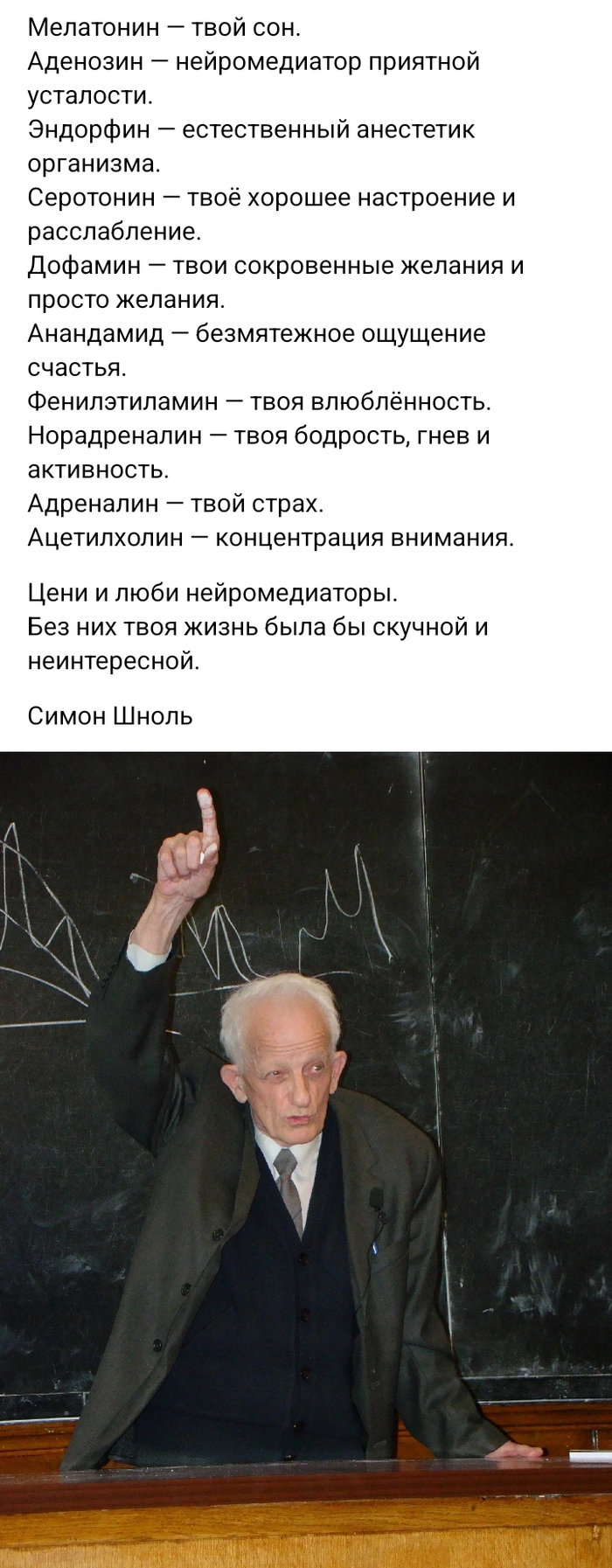 .  .  , , Telegram (), 