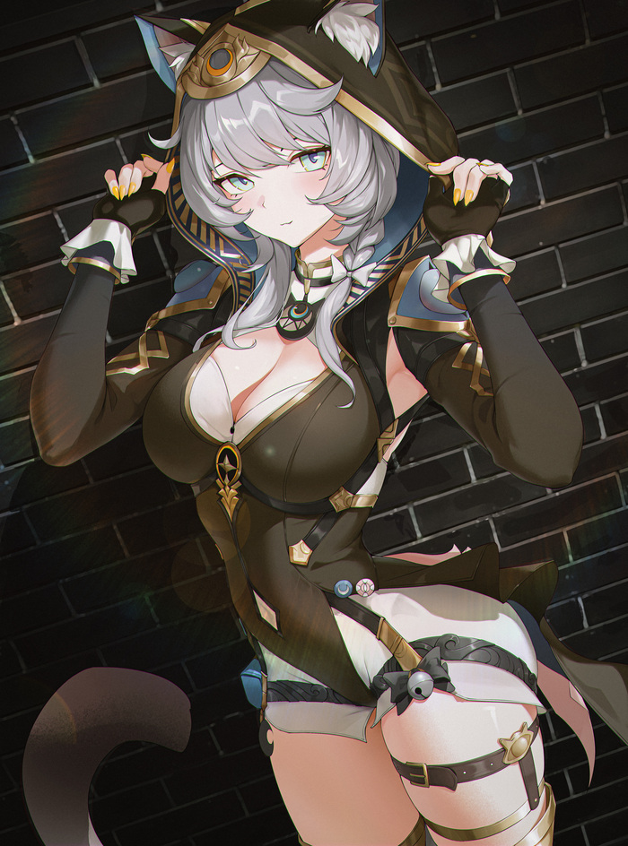  Anime Art, Honkai: Star Rail, Cipher (Honkai: Star Rail), Animal Ears, 
