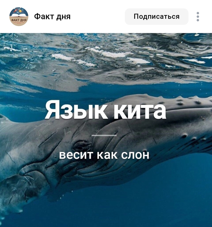   .,      , , , , 