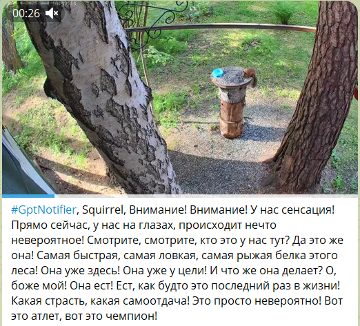   ,  , , , , ,  , ,  , 