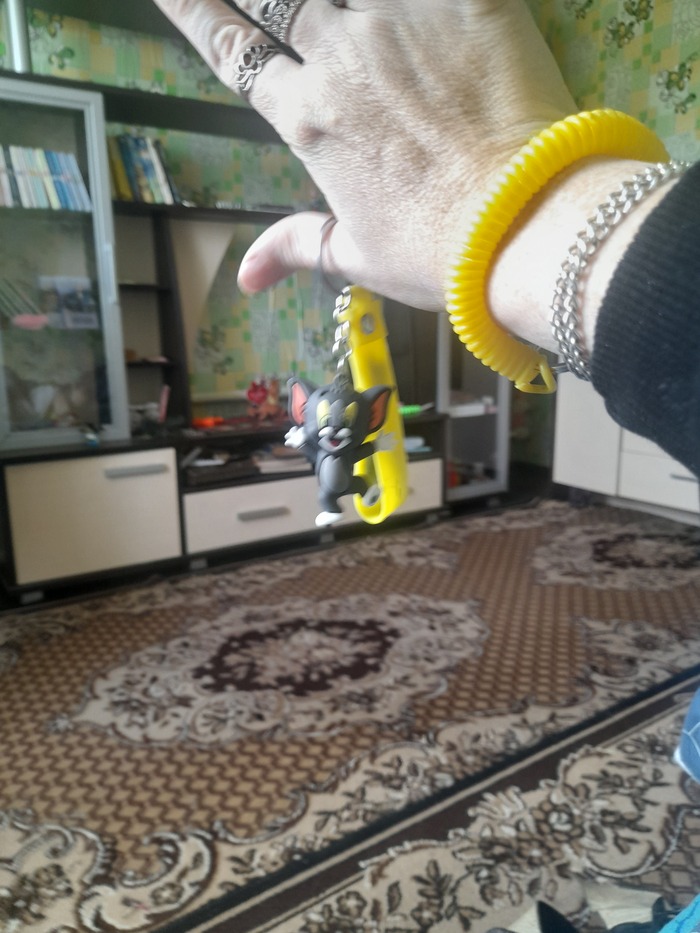 Наш Пушистый Классный Том вот так хранит Наш Классный Дом!