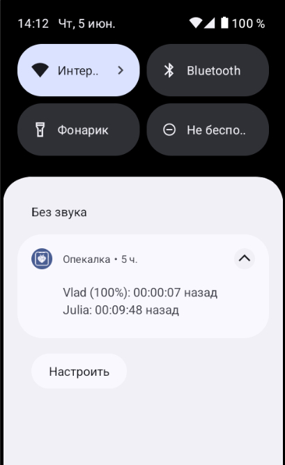 В шторке - уведомление нужно для постоянной работы в фоне, что важно для стороны Опекаемого, чтобы Андроид не прибил приложение, а Опекуну показывается статистика, хотя разрешение и не обязательно для Опекуна