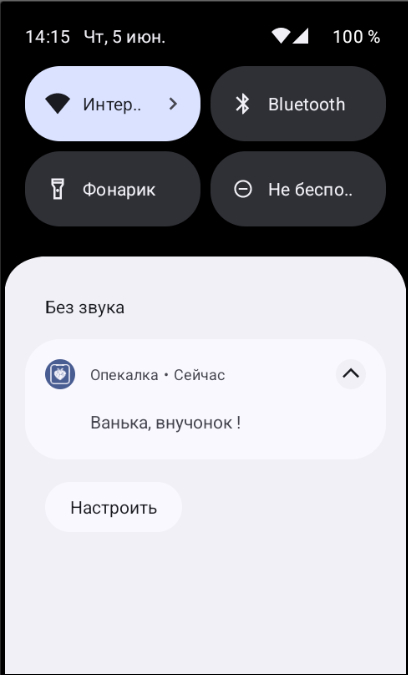 А опекаемый родитель в шторке может видеть только имя Опекуна, для открытия приложения