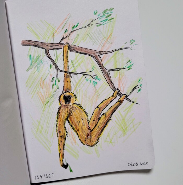    &quot;  &quot;. 154/365