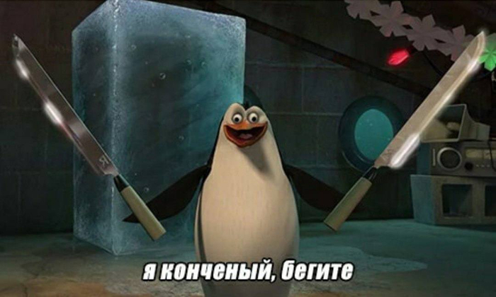             , , ,   , , ,  ,  ,  , Telegram ()