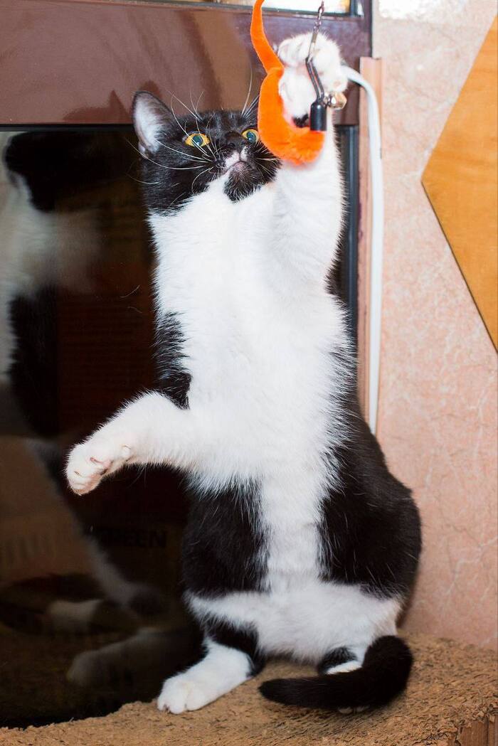         , ,  ,  ,  , 