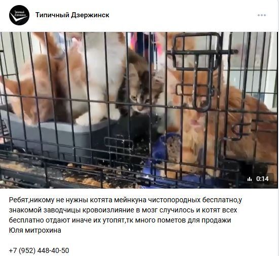      ,           ? , Fake News, ,  , , -, , , , 