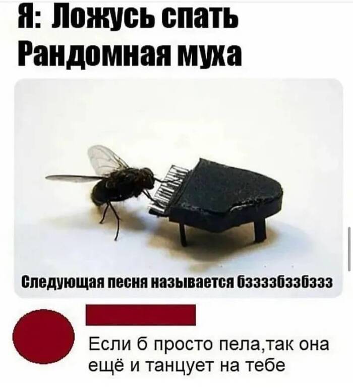   ,   , , 
