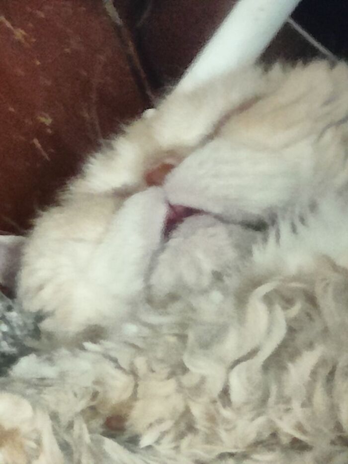    ,  , ,  , , 