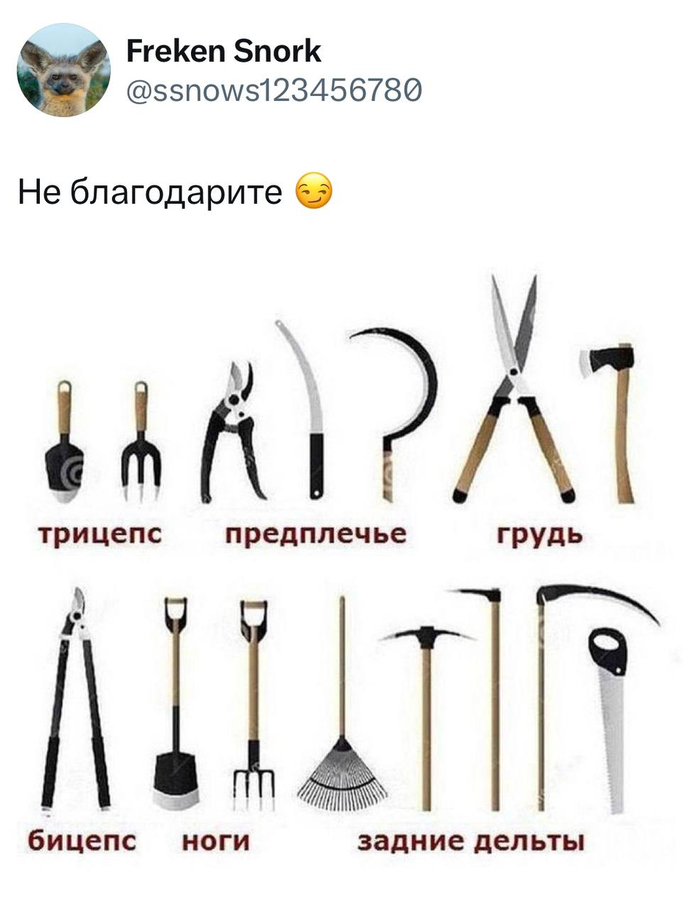   , Telegram (), , X (Twitter), , , , 