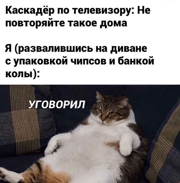     ,   , , , 