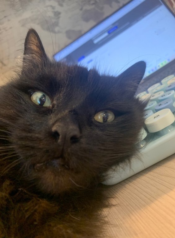 ����� ����� ��������, �� ����� �� �������