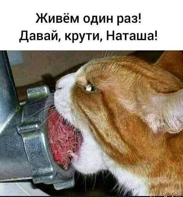    , ,   , ,  , , 