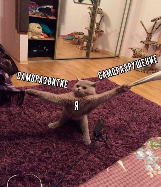       , , , , 