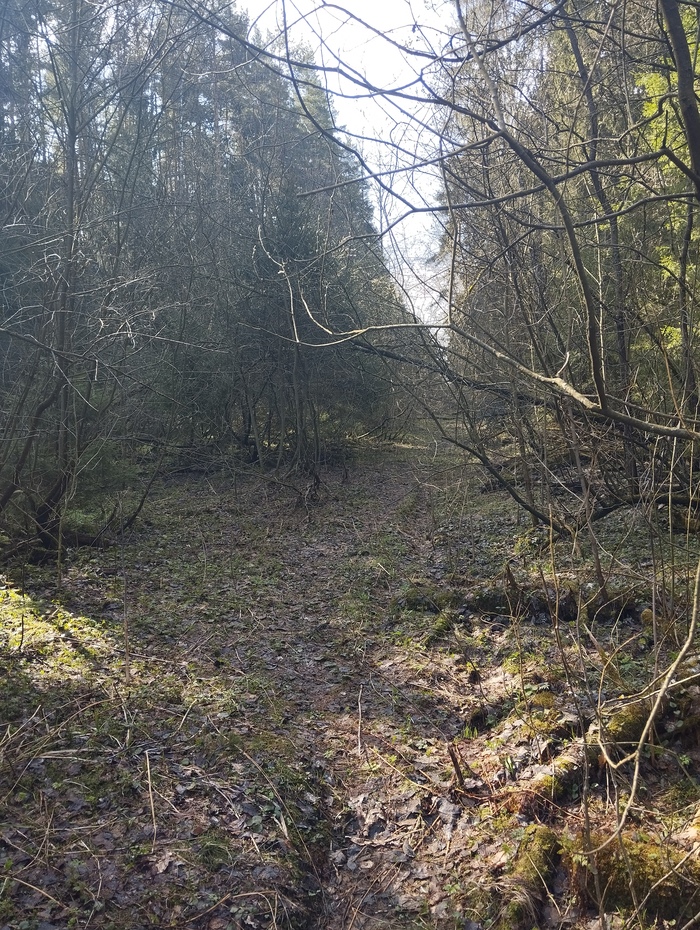 Moscow Hike , , , 