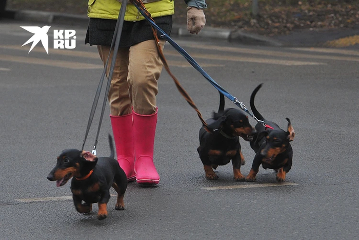 ��������� ������ ����� ������ ��� ������� 