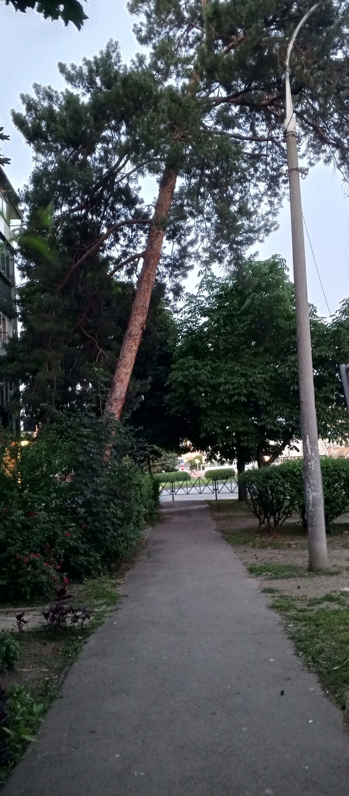   ,    ,  , , ,   , 