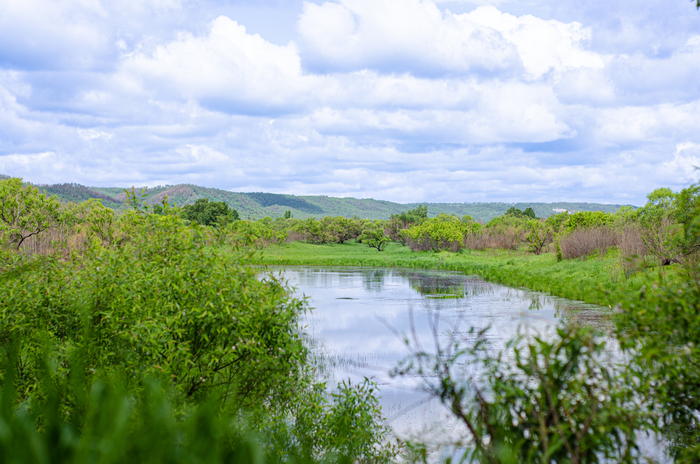 Окрестности