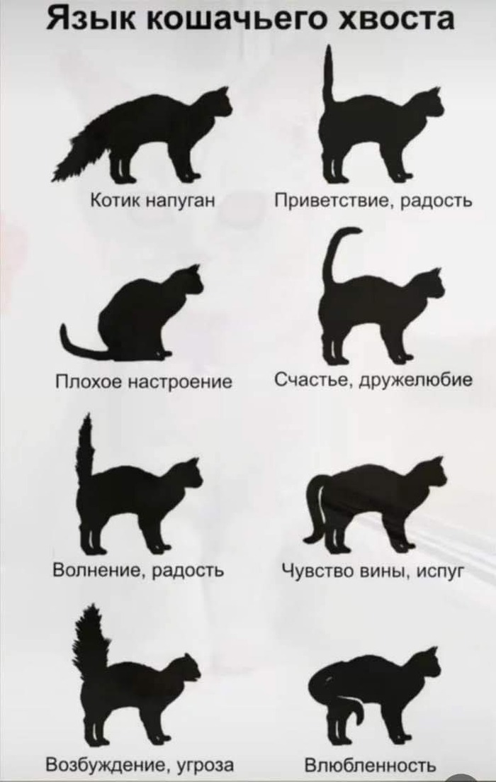   , , , ,  , ,  