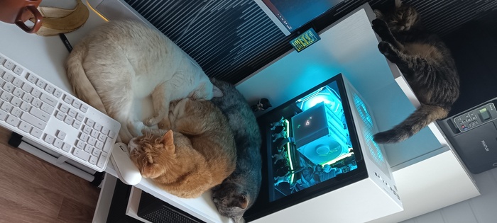    , ,  ,  