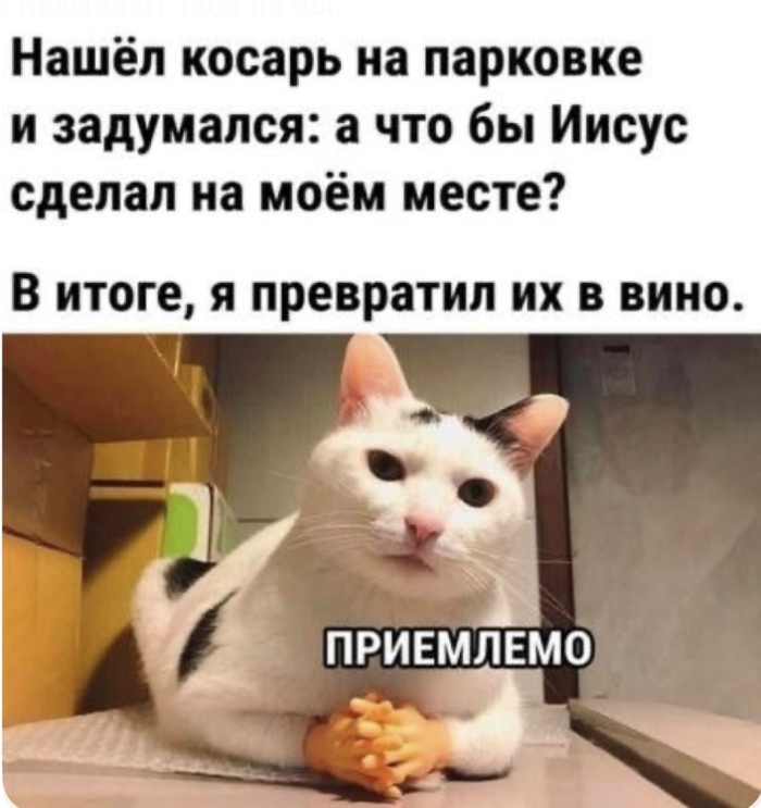 100% , 0%  ,  ,   , , , , , , ,  