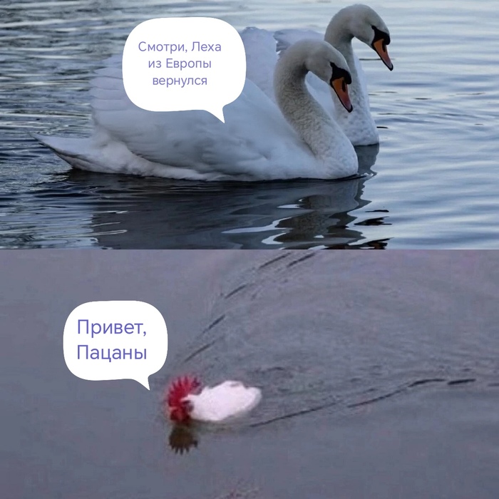    ,  , , , 