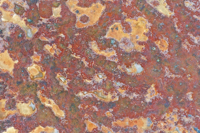 Фрагмент осеннего верхового болота в Пинежском заповеднике, Архангельская область.