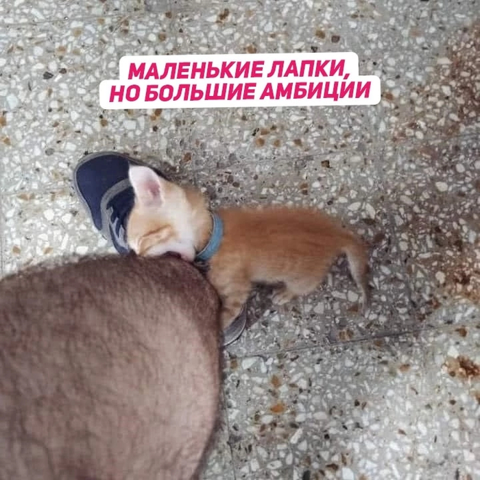   ? , , , ,   , 