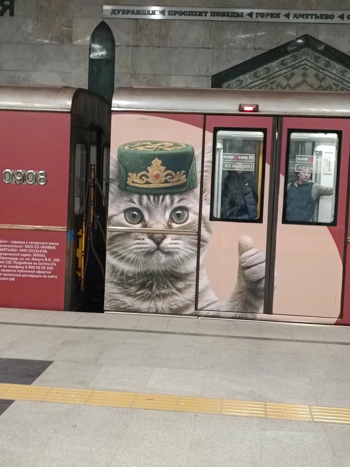     , , , , , , , ,  