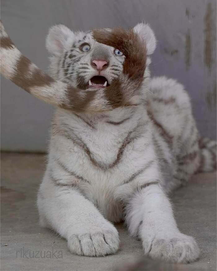   ! ,  ,  , ,  ,  ,  ,  , , , 