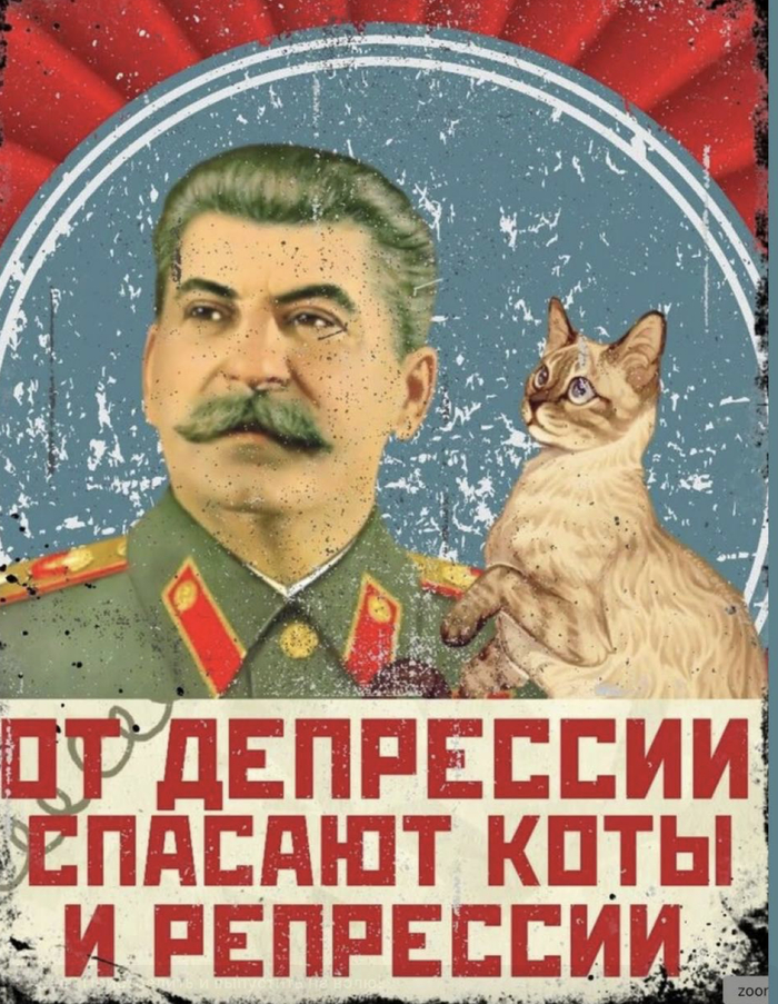 ?     ! ,  , Telegram, , , ,  , ,  HR,  , Telegram (), , 