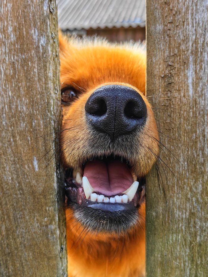    , , , ,  
