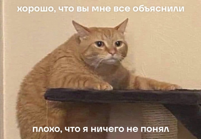  -   ,      