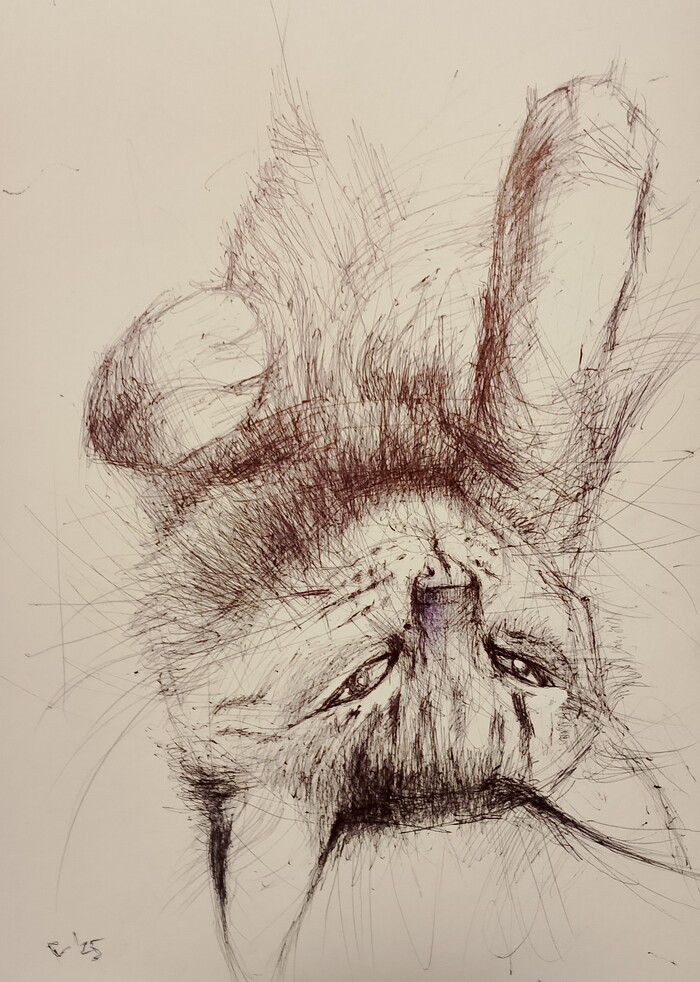  , , , ,  , , , 