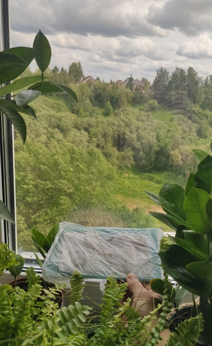 ��������� ����� ��������� �������� � �������� � ������� � ��������� �� ������� ������ ����� �� �����������