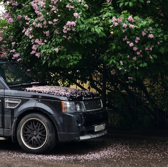    , , Range Rover, ,  , -