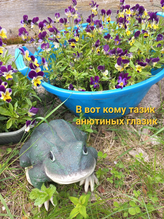 , ,   () ,  , , It Is Wednesday My Dudes,   