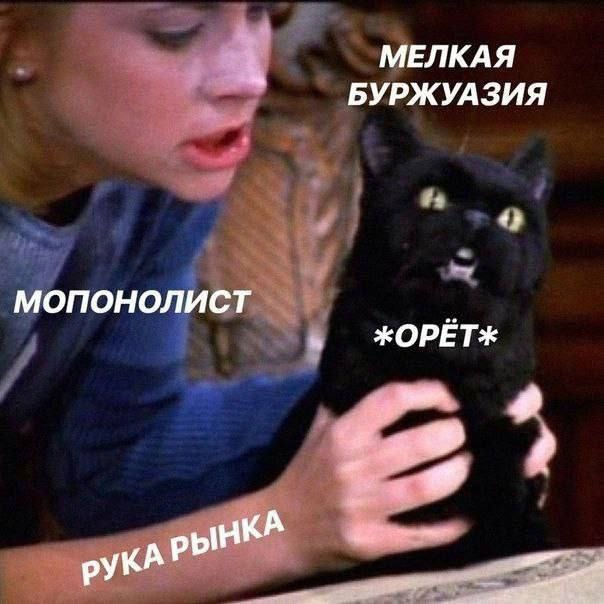   ,   , ,  , , ,   , 
