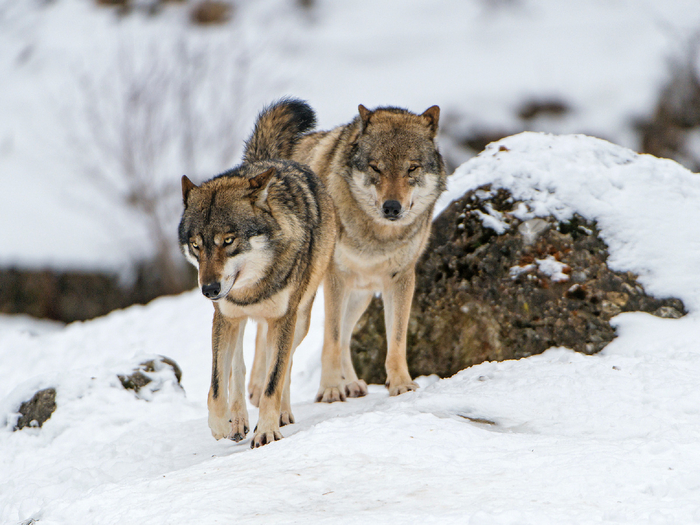     !         ,       .    ,     .