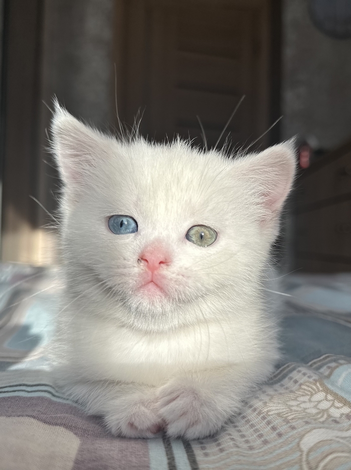     ,  ,  , ,  , 