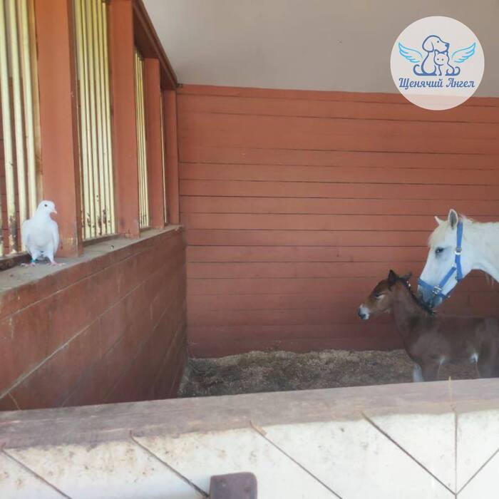 ������ ����������� � ������� � ����� � ���������: ������ � ���� ������, �������� ����� � ��������� �� �� ��������� ������