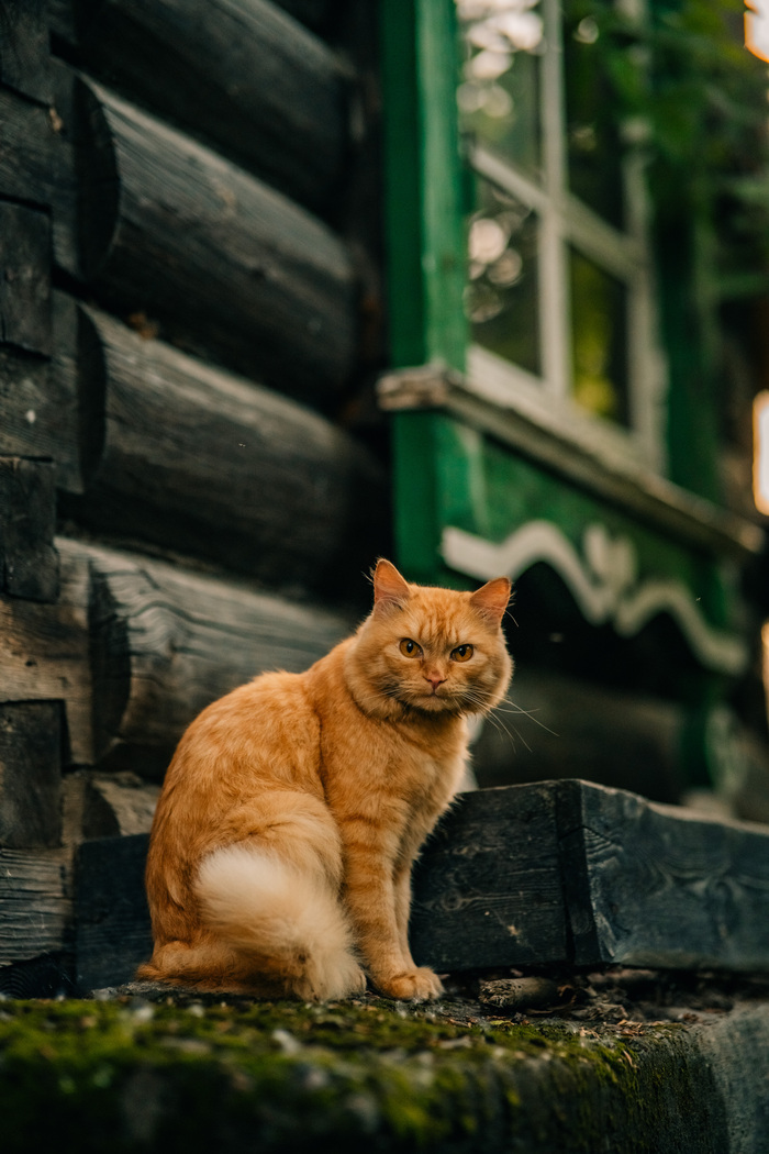  "" , , , , , , 
