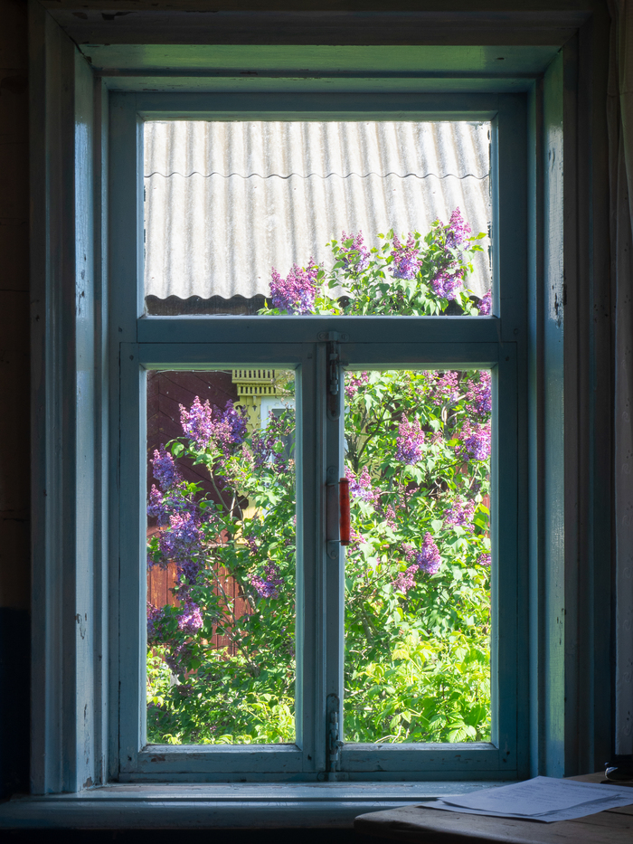  , , , , , , , Olympus, Lightroom,  