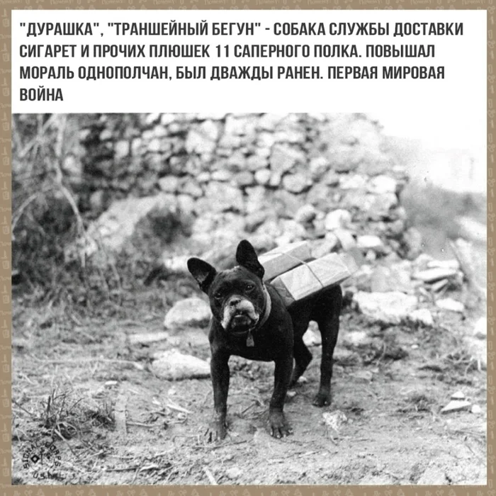 jzyrczvi.webp